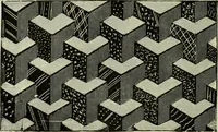 An illustration from The dictionary of needlework : an encyclopaedia of artistic, plain, and fancy needlework dealing fully with the details of all the stitches employed, the method of working, the materials used, the meaning of technical terms, and, where necessary, tracing the origin and history of the various works described (1882)