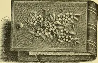 An illustration from The dictionary of needlework : an encyclopaedia of artistic, plain, and fancy needlework dealing fully with the details of all the stitches employed, the method of working, the materials used, the meaning of technical terms, and, where necessary, tracing the origin and history of the various works described (1882)