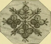 An illustration from The dictionary of needlework : an encyclopaedia of artistic, plain, and fancy needlework dealing fully with the details of all the stitches employed, the method of working, the materials used, the meaning of technical terms, and, where necessary, tracing the origin and history of the various works described (1882)
