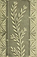 An illustration from The dictionary of needlework : an encyclopaedia of artistic, plain, and fancy needlework dealing fully with the details of all the stitches employed, the method of working, the materials used, the meaning of technical terms, and, where necessary, tracing the origin and history of the various works described (1882)