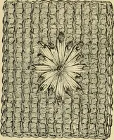 An illustration from The dictionary of needlework : an encyclopaedia of artistic, plain, and fancy needlework dealing fully with the details of all the stitches employed, the method of working, the materials used, the meaning of technical terms, and, where necessary, tracing the origin and history of the various works described (1882)