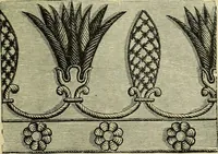 An illustration from The dictionary of needlework : an encyclopaedia of artistic, plain, and fancy needlework dealing fully with the details of all the stitches employed, the method of working, the materials used, the meaning of technical terms, and, where necessary, tracing the origin and history of the various works described (1882)