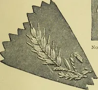 An illustration from The dictionary of needlework : an encyclopaedia of artistic, plain, and fancy needlework dealing fully with the details of all the stitches employed, the method of working, the materials used, the meaning of technical terms, and, where necessary, tracing the origin and history of the various works described (1882)