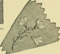 An illustration from The dictionary of needlework : an encyclopaedia of artistic, plain, and fancy needlework dealing fully with the details of all the stitches employed, the method of working, the materials used, the meaning of technical terms, and, where necessary, tracing the origin and history of the various works described (1882)