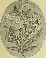 An illustration from The dictionary of needlework : an encyclopaedia of artistic, plain, and fancy needlework dealing fully with the details of all the stitches employed, the method of working, the materials used, the meaning of technical terms, and, where necessary, tracing the origin and history of the various works described (1882)