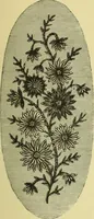 An illustration from The dictionary of needlework : an encyclopaedia of artistic, plain, and fancy needlework dealing fully with the details of all the stitches employed, the method of working, the materials used, the meaning of technical terms, and, where necessary, tracing the origin and history of the various works described (1882)