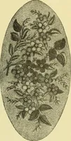 An illustration from The dictionary of needlework : an encyclopaedia of artistic, plain, and fancy needlework dealing fully with the details of all the stitches employed, the method of working, the materials used, the meaning of technical terms, and, where necessary, tracing the origin and history of the various works described (1882)