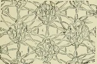 An illustration from The dictionary of needlework : an encyclopaedia of artistic, plain, and fancy needlework dealing fully with the details of all the stitches employed, the method of working, the materials used, the meaning of technical terms, and, where necessary, tracing the origin and history of the various works described (1882)