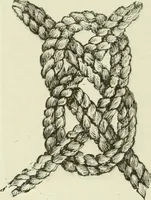 An illustration from The dictionary of needlework : an encyclopaedia of artistic, plain, and fancy needlework dealing fully with the details of all the stitches employed, the method of working, the materials used, the meaning of technical terms, and, where necessary, tracing the origin and history of the various works described (1882)