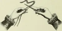 An illustration from The dictionary of needlework : an encyclopaedia of artistic, plain, and fancy needlework dealing fully with the details of all the stitches employed, the method of working, the materials used, the meaning of technical terms, and, where necessary, tracing the origin and history of the various works described (1882)