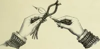 An illustration from The dictionary of needlework : an encyclopaedia of artistic, plain, and fancy needlework dealing fully with the details of all the stitches employed, the method of working, the materials used, the meaning of technical terms, and, where necessary, tracing the origin and history of the various works described (1882)