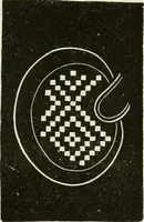 An illustration from The dictionary of needlework : an encyclopaedia of artistic, plain, and fancy needlework dealing fully with the details of all the stitches employed, the method of working, the materials used, the meaning of technical terms, and, where necessary, tracing the origin and history of the various works described (1882)