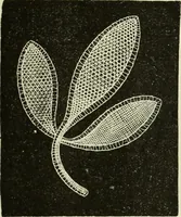 An illustration from The dictionary of needlework : an encyclopaedia of artistic, plain, and fancy needlework dealing fully with the details of all the stitches employed, the method of working, the materials used, the meaning of technical terms, and, where necessary, tracing the origin and history of the various works described (1882)