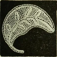 An illustration from The dictionary of needlework : an encyclopaedia of artistic, plain, and fancy needlework dealing fully with the details of all the stitches employed, the method of working, the materials used, the meaning of technical terms, and, where necessary, tracing the origin and history of the various works described (1882)
