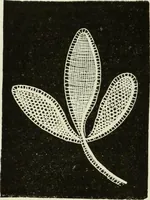 An illustration from The dictionary of needlework : an encyclopaedia of artistic, plain, and fancy needlework dealing fully with the details of all the stitches employed, the method of working, the materials used, the meaning of technical terms, and, where necessary, tracing the origin and history of the various works described (1882)