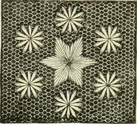 An illustration from The dictionary of needlework : an encyclopaedia of artistic, plain, and fancy needlework dealing fully with the details of all the stitches employed, the method of working, the materials used, the meaning of technical terms, and, where necessary, tracing the origin and history of the various works described (1882)