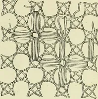 An illustration from The dictionary of needlework : an encyclopaedia of artistic, plain, and fancy needlework dealing fully with the details of all the stitches employed, the method of working, the materials used, the meaning of technical terms, and, where necessary, tracing the origin and history of the various works described (1882)