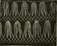 An illustration from The dictionary of needlework : an encyclopaedia of artistic, plain, and fancy needlework dealing fully with the details of all the stitches employed, the method of working, the materials used, the meaning of technical terms, and, where necessary, tracing the origin and history of the various works described (1882)