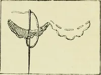 An illustration from The dictionary of needlework : an encyclopaedia of artistic, plain, and fancy needlework dealing fully with the details of all the stitches employed, the method of working, the materials used, the meaning of technical terms, and, where necessary, tracing the origin and history of the various works described (1882)
