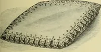 An illustration from The dictionary of needlework : an encyclopaedia of artistic, plain, and fancy needlework dealing fully with the details of all the stitches employed, the method of working, the materials used, the meaning of technical terms, and, where necessary, tracing the origin and history of the various works described (1882)