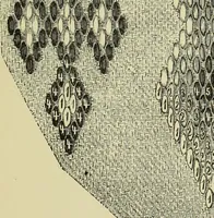 An illustration from The dictionary of needlework : an encyclopaedia of artistic, plain, and fancy needlework dealing fully with the details of all the stitches employed, the method of working, the materials used, the meaning of technical terms, and, where necessary, tracing the origin and history of the various works described (1882)