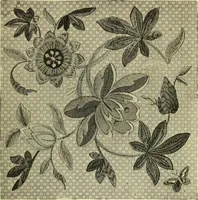 An illustration from The dictionary of needlework : an encyclopaedia of artistic, plain, and fancy needlework dealing fully with the details of all the stitches employed, the method of working, the materials used, the meaning of technical terms, and, where necessary, tracing the origin and history of the various works described (1882)