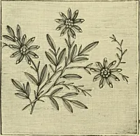 An illustration from The dictionary of needlework : an encyclopaedia of artistic, plain, and fancy needlework dealing fully with the details of all the stitches employed, the method of working, the materials used, the meaning of technical terms, and, where necessary, tracing the origin and history of the various works described (1882)