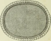 An illustration from The dictionary of needlework : an encyclopaedia of artistic, plain, and fancy needlework dealing fully with the details of all the stitches employed, the method of working, the materials used, the meaning of technical terms, and, where necessary, tracing the origin and history of the various works described (1882)
