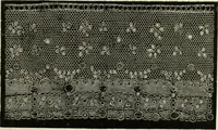 An illustration from The dictionary of needlework : an encyclopaedia of artistic, plain, and fancy needlework dealing fully with the details of all the stitches employed, the method of working, the materials used, the meaning of technical terms, and, where necessary, tracing the origin and history of the various works described (1882)
