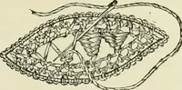 An illustration from The dictionary of needlework : an encyclopaedia of artistic, plain, and fancy needlework dealing fully with the details of all the stitches employed, the method of working, the materials used, the meaning of technical terms, and, where necessary, tracing the origin and history of the various works described (1882)