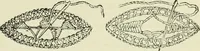 An illustration from The dictionary of needlework : an encyclopaedia of artistic, plain, and fancy needlework dealing fully with the details of all the stitches employed, the method of working, the materials used, the meaning of technical terms, and, where necessary, tracing the origin and history of the various works described (1882)