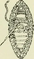 An illustration from The dictionary of needlework : an encyclopaedia of artistic, plain, and fancy needlework dealing fully with the details of all the stitches employed, the method of working, the materials used, the meaning of technical terms, and, where necessary, tracing the origin and history of the various works described (1882)