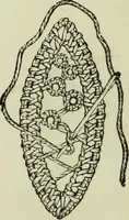An illustration from The dictionary of needlework : an encyclopaedia of artistic, plain, and fancy needlework dealing fully with the details of all the stitches employed, the method of working, the materials used, the meaning of technical terms, and, where necessary, tracing the origin and history of the various works described (1882)