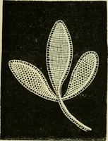 An illustration from The dictionary of needlework : an encyclopaedia of artistic, plain, and fancy needlework dealing fully with the details of all the stitches employed, the method of working, the materials used, the meaning of technical terms, and, where necessary, tracing the origin and history of the various works described (1882)