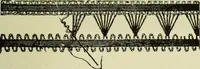 An illustration from The dictionary of needlework : an encyclopaedia of artistic, plain, and fancy needlework dealing fully with the details of all the stitches employed, the method of working, the materials used, the meaning of technical terms, and, where necessary, tracing the origin and history of the various works described (1882)