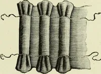 An illustration from The dictionary of needlework : an encyclopaedia of artistic, plain, and fancy needlework dealing fully with the details of all the stitches employed, the method of working, the materials used, the meaning of technical terms, and, where necessary, tracing the origin and history of the various works described (1882)