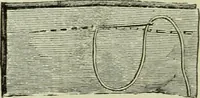 An illustration from The dictionary of needlework : an encyclopaedia of artistic, plain, and fancy needlework dealing fully with the details of all the stitches employed, the method of working, the materials used, the meaning of technical terms, and, where necessary, tracing the origin and history of the various works described (1882)