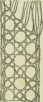 An illustration from The dictionary of needlework : an encyclopaedia of artistic, plain, and fancy needlework dealing fully with the details of all the stitches employed, the method of working, the materials used, the meaning of technical terms, and, where necessary, tracing the origin and history of the various works described (1882)