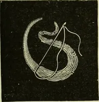 An illustration from The dictionary of needlework : an encyclopaedia of artistic, plain, and fancy needlework dealing fully with the details of all the stitches employed, the method of working, the materials used, the meaning of technical terms, and, where necessary, tracing the origin and history of the various works described (1882)