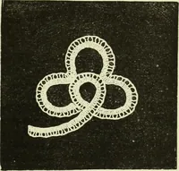 An illustration from The dictionary of needlework : an encyclopaedia of artistic, plain, and fancy needlework dealing fully with the details of all the stitches employed, the method of working, the materials used, the meaning of technical terms, and, where necessary, tracing the origin and history of the various works described (1882)