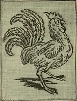 An illustration from The dictionary of needlework : an encyclopaedia of artistic, plain, and fancy needlework dealing fully with the details of all the stitches employed, the method of working, the materials used, the meaning of technical terms, and, where necessary, tracing the origin and history of the various works described (1882)