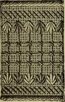 An illustration from The dictionary of needlework : an encyclopaedia of artistic, plain, and fancy needlework dealing fully with the details of all the stitches employed, the method of working, the materials used, the meaning of technical terms, and, where necessary, tracing the origin and history of the various works described (1882)