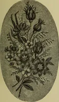 An illustration from The dictionary of needlework : an encyclopaedia of artistic, plain, and fancy needlework dealing fully with the details of all the stitches employed, the method of working, the materials used, the meaning of technical terms, and, where necessary, tracing the origin and history of the various works described (1882)