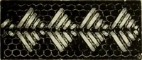 An illustration from The dictionary of needlework : an encyclopaedia of artistic, plain, and fancy needlework dealing fully with the details of all the stitches employed, the method of working, the materials used, the meaning of technical terms, and, where necessary, tracing the origin and history of the various works described (1882)