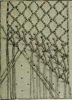 An illustration from The dictionary of needlework : an encyclopaedia of artistic, plain, and fancy needlework dealing fully with the details of all the stitches employed, the method of working, the materials used, the meaning of technical terms, and, where necessary, tracing the origin and history of the various works described (1882)