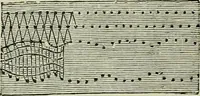 An illustration from The dictionary of needlework : an encyclopaedia of artistic, plain, and fancy needlework dealing fully with the details of all the stitches employed, the method of working, the materials used, the meaning of technical terms, and, where necessary, tracing the origin and history of the various works described (1882)