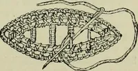 An illustration from The dictionary of needlework : an encyclopaedia of artistic, plain, and fancy needlework dealing fully with the details of all the stitches employed, the method of working, the materials used, the meaning of technical terms, and, where necessary, tracing the origin and history of the various works described (1882)