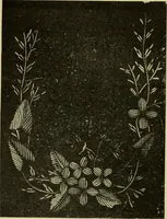 An illustration from The dictionary of needlework : an encyclopaedia of artistic, plain, and fancy needlework dealing fully with the details of all the stitches employed, the method of working, the materials used, the meaning of technical terms, and, where necessary, tracing the origin and history of the various works described (1882)