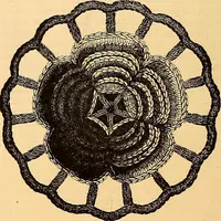 An illustration from The dictionary of needlework : an encyclopædia of artistic, plain, and fancy needlework ... (1882)