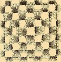 An illustration from The dictionary of needlework : an encyclopædia of artistic, plain, and fancy needlework ... (1882)